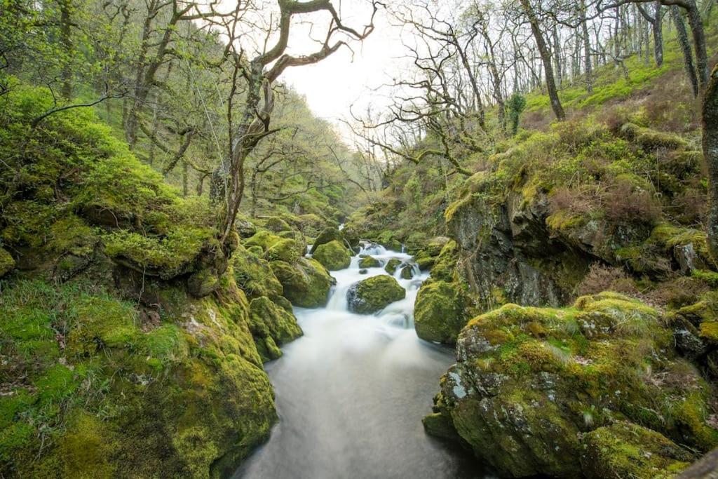 Luxurious Riverside Cottage In Snowdonia National Park Tanygrisiau Екстер'єр фото