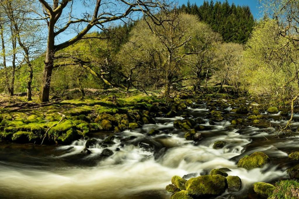 Luxurious Riverside Cottage In Snowdonia National Park Tanygrisiau Екстер'єр фото